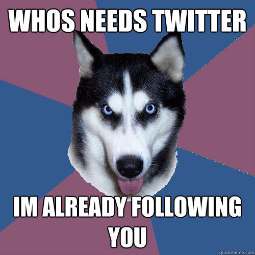 whos needs twitter Im already following you - whos needs twitter Im already following you  Creeper Canine