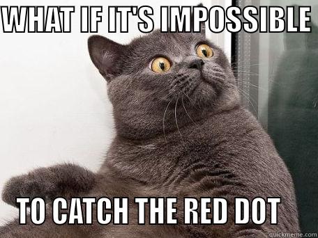 WHAT IF IT'S IMPOSSIBLE  TO CATCH THE RED DOT    conspiracy cat