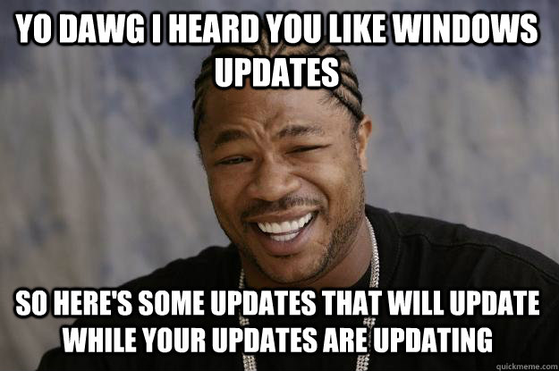 YO DAWG I heard you like Windows updates So here's some updates that will update while your updates are updating  Xzibit meme