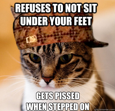 Refuses to not sit under your feet gets pissed when stepped on  Scumbag Cat