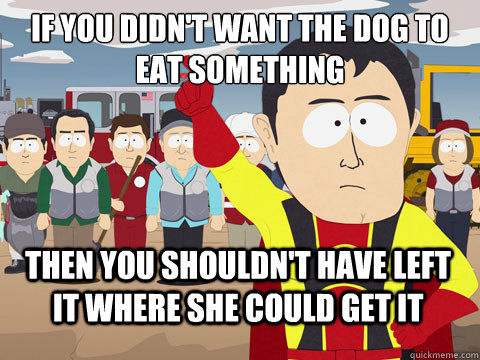 if you didn't want the dog to eat something then you shouldn't have left it where she could get it - if you didn't want the dog to eat something then you shouldn't have left it where she could get it  Captain Hindsight