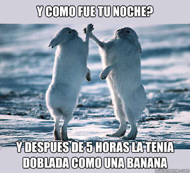 y como fue tu noche? y despues de 5 horas la tenia doblada como una banana  Bunny Bros