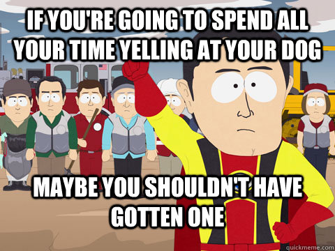 if you're going to spend all your time yelling at your dog maybe you shouldn't have gotten one  Captian Hindsight