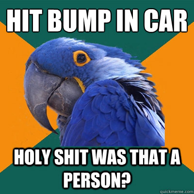hit bump in car holy shit was that a person?  Paranoid Parrot