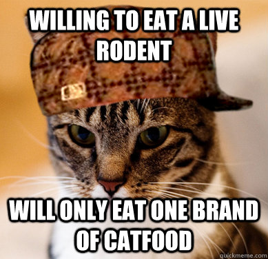 Willing to eat a live rodent Will only eat one brand of catfood  Scumbag Cat