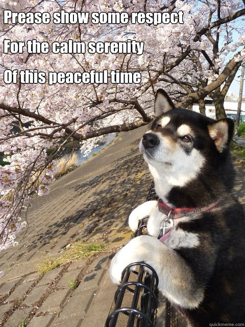Prease show some respect For the calm serenity Of this peaceful time - Prease show some respect For the calm serenity Of this peaceful time  Misc
