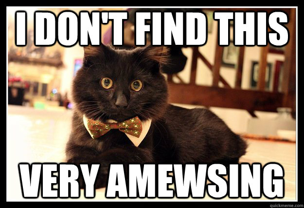 i don't find this very amewsing  Fancy Cat