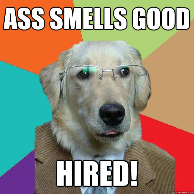 ass smells good hired!  Business Dog