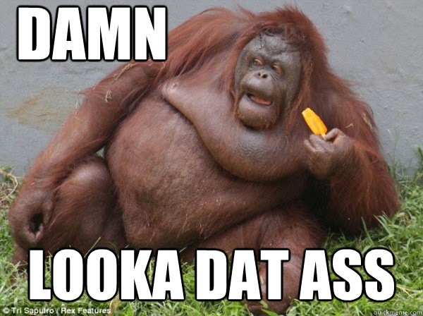 DAMN LOOKA DAT ASS  