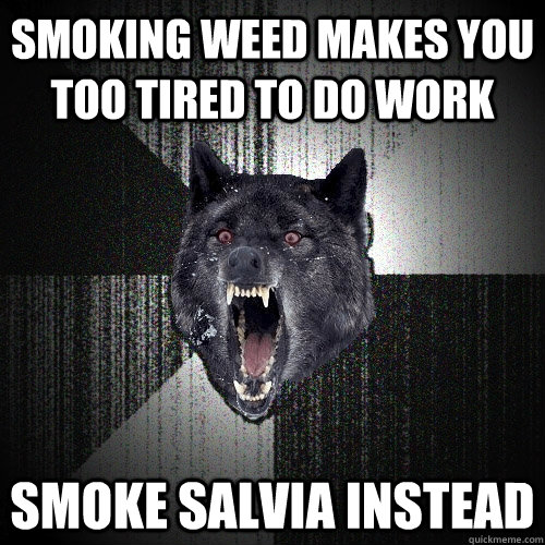 Smoking weed makes you too tired to do work Smoke salvia instead - Smoking weed makes you too tired to do work Smoke salvia instead  Insanity Wolf