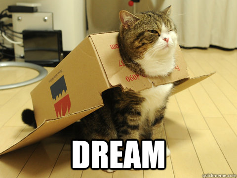  Dream -  Dream  maru cat is best cat