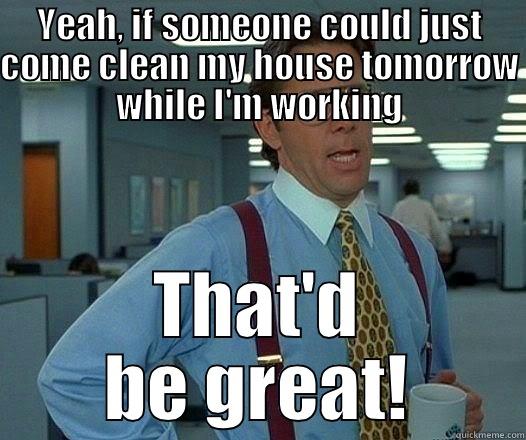 YEAH, IF SOMEONE COULD JUST COME CLEAN MY HOUSE TOMORROW WHILE I'M WORKING THAT'D BE GREAT! Office Space Lumbergh