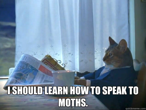  I should learn how to speak to moths.  The One Percent Cat