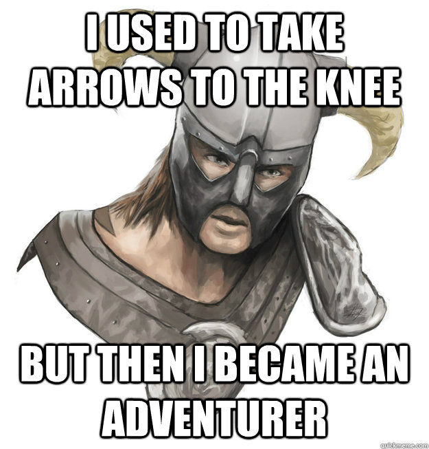 I used to take arrows to the knee but then i became an adventurer  