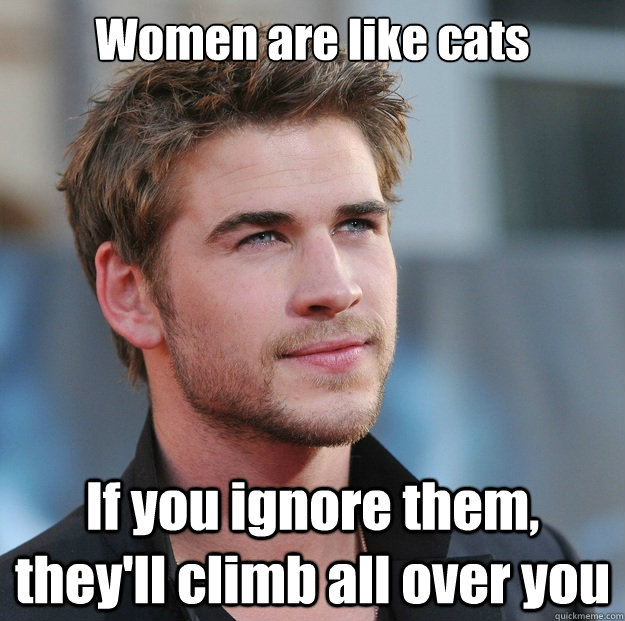 Women are like cats If you ignore them, they'll climb all over you  Attractive Guy Girl Advice
