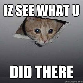 IZ SEE WHAT U DID THERE  Ceiling Cat