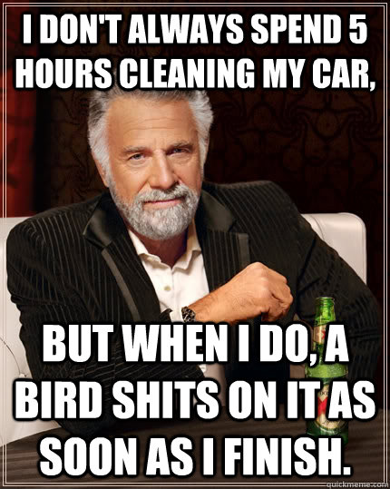 i don't always spend 5 hours cleaning my car, but when I do, a bird shits on it as soon as I finish.  The Most Interesting Man In The World