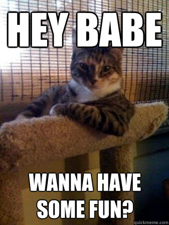 Hey Babe wanna have some fun?  The Most Interesting Cat in the World