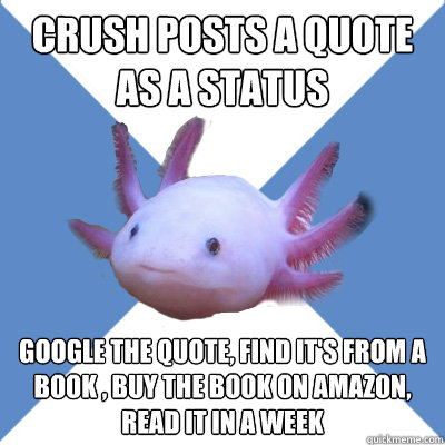 crush posts a quote as a status google the quote, find it's from a book , buy the book on amazon, read it in a week  