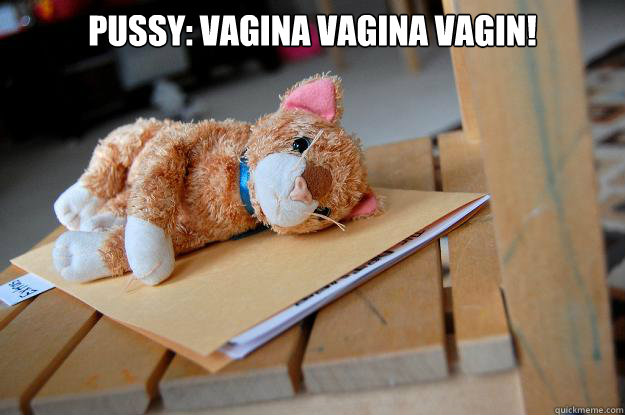 Pussy: VAGINA VAGINA VAGIN! - Pussy: VAGINA VAGINA VAGIN!  Vet School Cat