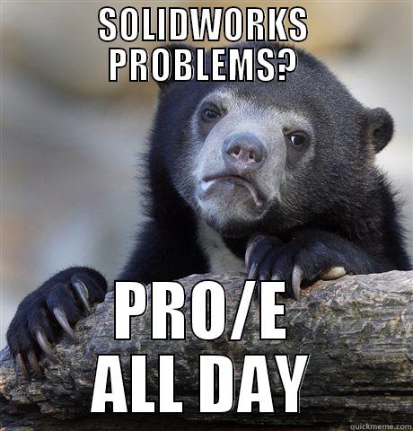 SOLIDWORKS PROBLEMS? PRO/E ALL DAY Confession Bear