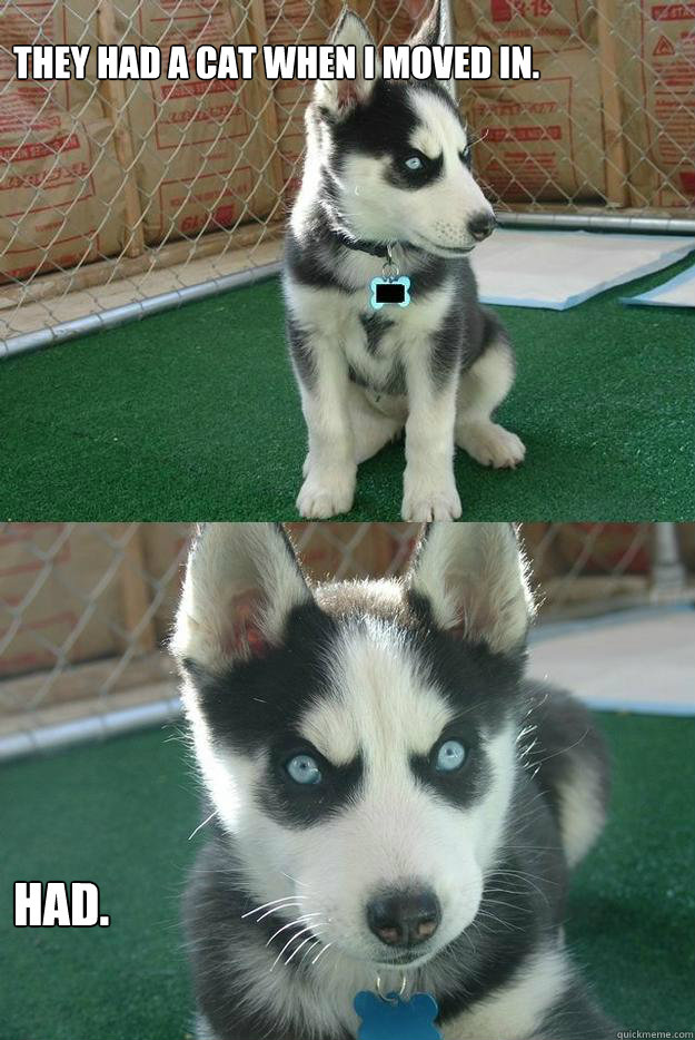 they had a cat when i moved in.



 had.  Insanity puppy