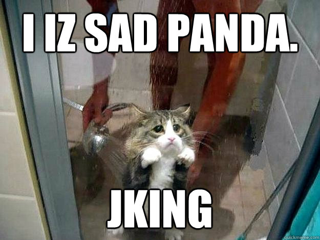 i iz sad panda. jking  Shower kitty