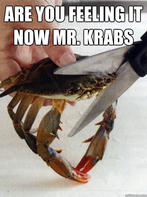 are you feeling it now mr. krabs   Optimistic Crab