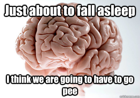 Just about to fall asleep I think we are going to have to go pee - Just about to fall asleep I think we are going to have to go pee  Scumbag Brain