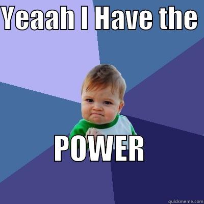 YEAAH I HAVE THE  POWER                    Success Kid