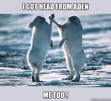 i got head from aden me too ! - i got head from aden me too !  Bunny Bros