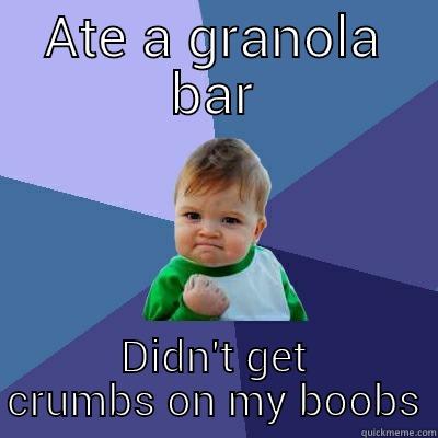 ATE A GRANOLA BAR DIDN'T GET CRUMBS ON MY BOOBS Success Kid
