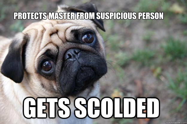 Protects master from suspicious person Gets scolded  First World Dog problems