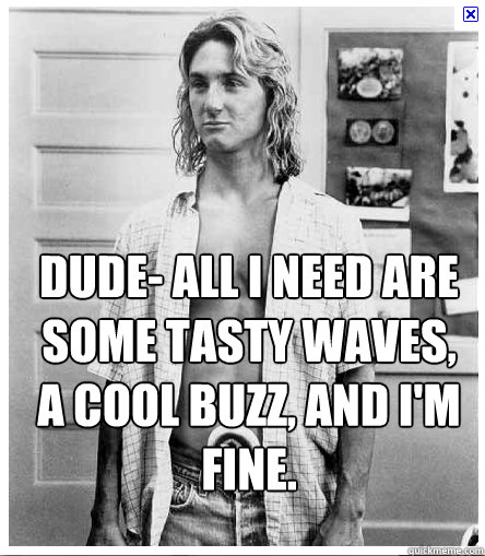 Dude- All I need are some tasty waves, a cool buzz, and I'm fine. 
  