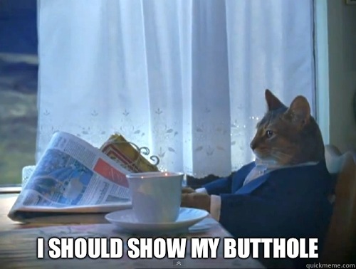  I should show my butthole  The One Percent Cat