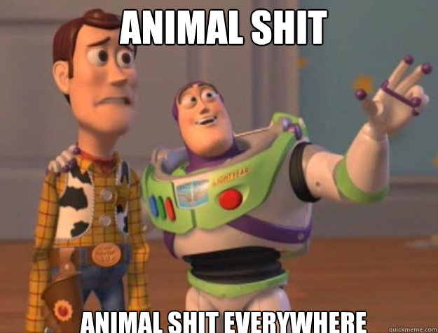 Animal Shit Animal Shit Everywhere  buzz woody