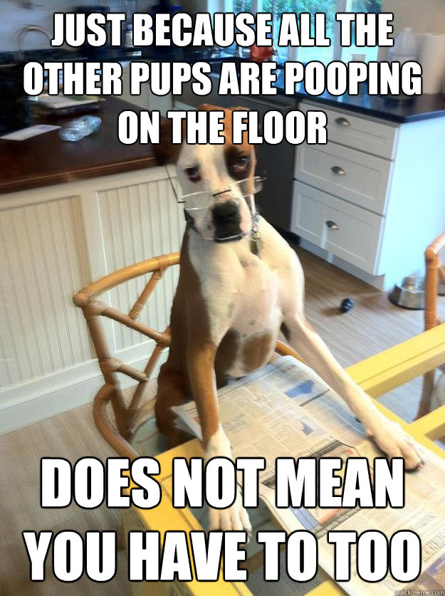 Just because all the other pups are pooping on the floor does not mean you have to too   The Dog Father