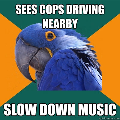 Sees cops driving nearby slow down music   Paranoid Parrot