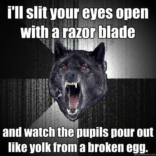 i'll slit your eyes open with a razor blade and watch the pupils pour out like yolk from a broken egg.  Insanity Wolf