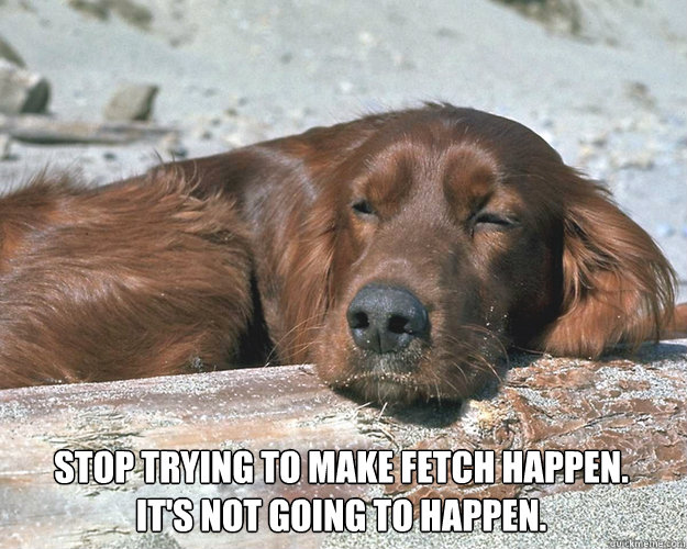 stop trying to make fetch happen.
It's not going to happen.  