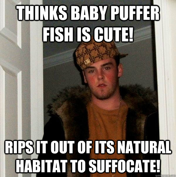 Thinks baby puffer fish is cute! Rips it out of its natural habitat to suffocate!  Scumbag Steve