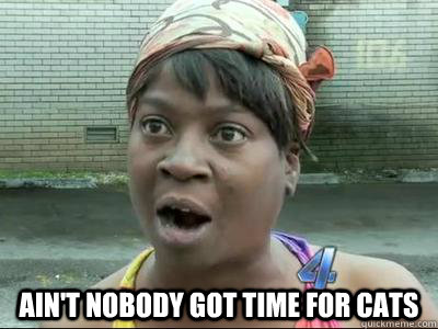   AIN'T NOBODY GOT TIME FOR CATS -   AIN'T NOBODY GOT TIME FOR CATS  Misc