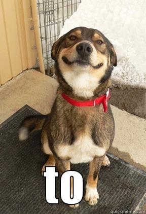  TO  Good Dog Greg