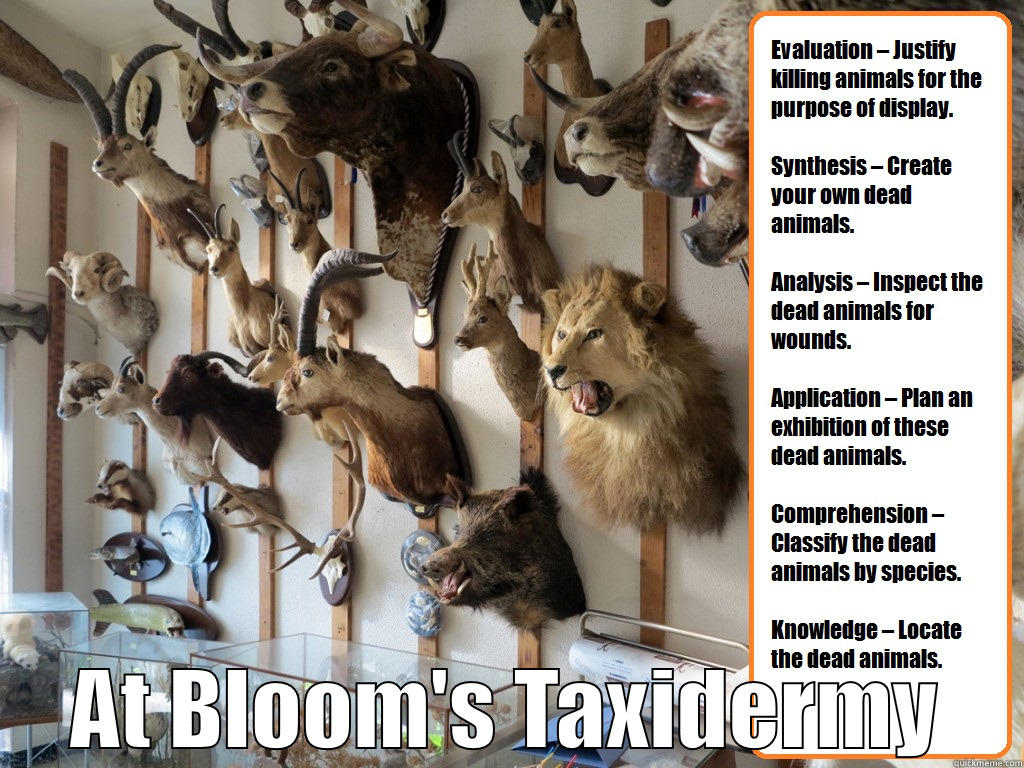 Bloom's Taxidermy -  AT BLOOM'S TAXIDERMY Misc