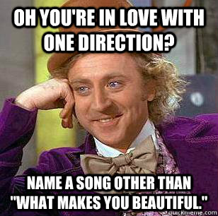 Oh you're in love with One Direction? Name a song other than 