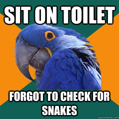 sit on toilet forgot to check for snakes  Paranoid Parrot
