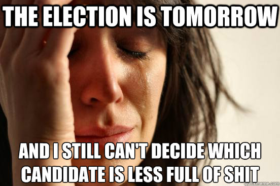 the election is tomorrow and i still can't decide which candidate is less full of shit  First World Problems