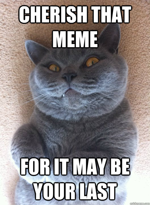 Cherish that meme for it may be  your last  Evil Cat