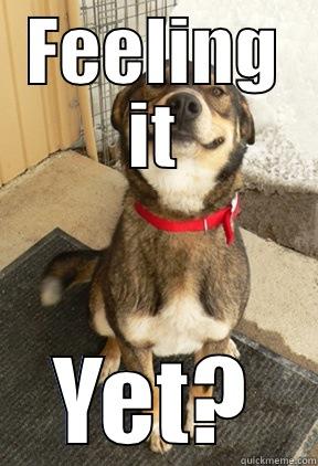 FEELING IT YET? Good Dog Greg