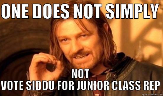 SDAFKJADJKFHVIWERJKN lol  - ONE DOES NOT SIMPLY  NOT VOTE SIDDU FOR JUNIOR CLASS REP Boromir